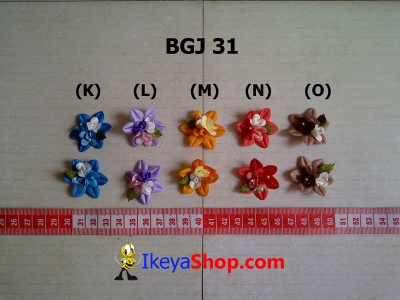 BGJ 31 K O  large2